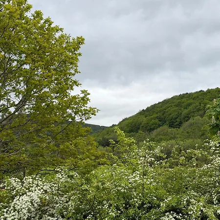 Priory View *